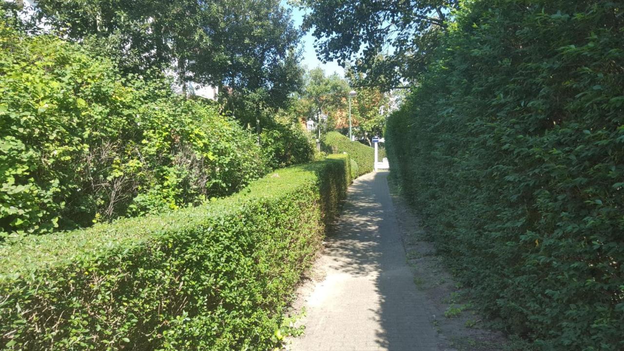Nieuw App Met Tuin En Terras, Gratis Parking, Aan Zee, Vlakbij Brugge Daire Duinbergen Dış mekan fotoğraf