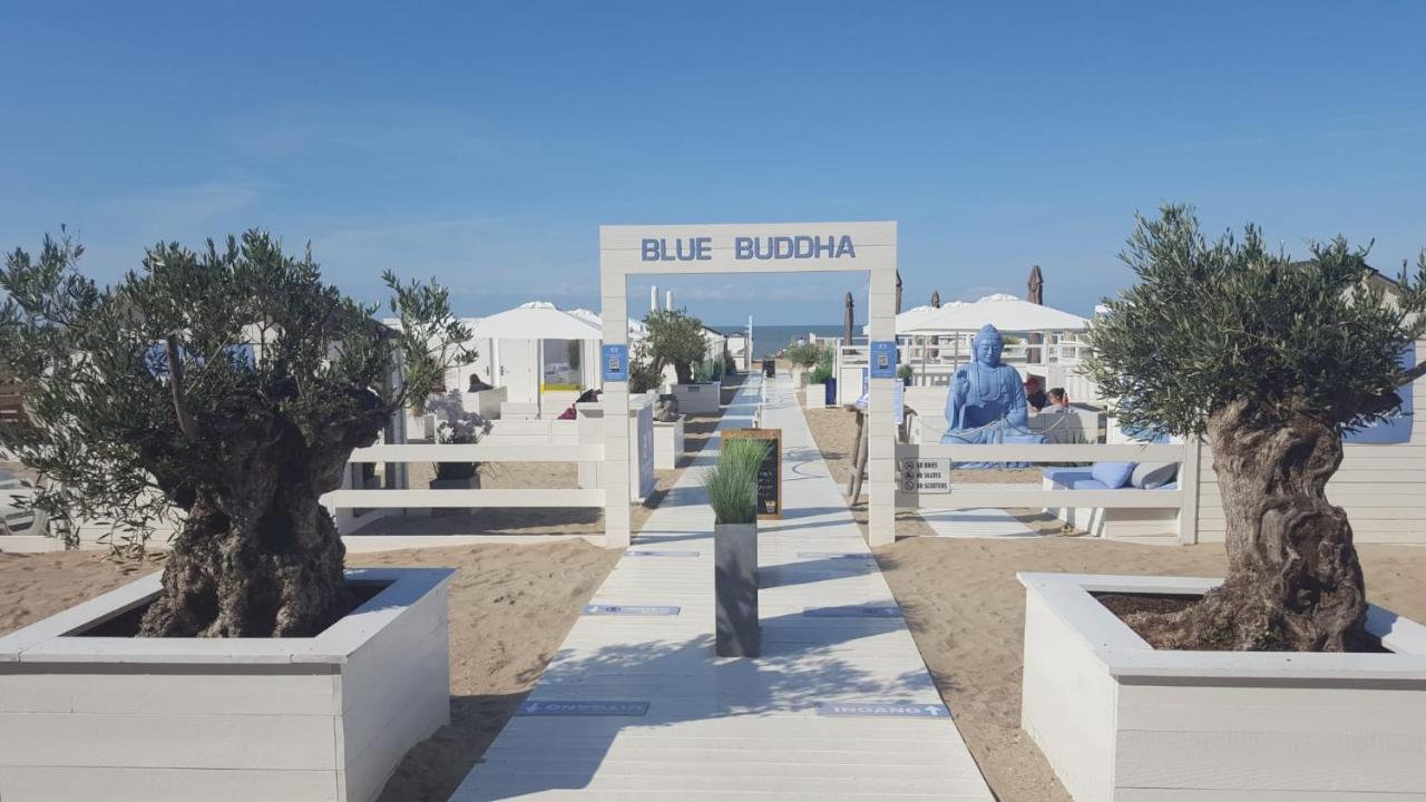 Nieuw App Met Tuin En Terras, Gratis Parking, Aan Zee, Vlakbij Brugge Daire Duinbergen Dış mekan fotoğraf